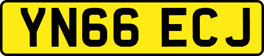 YN66ECJ