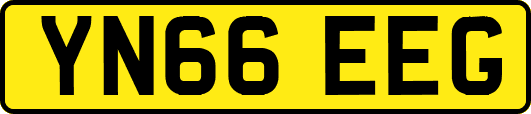 YN66EEG