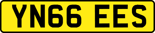 YN66EES