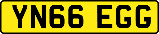 YN66EGG