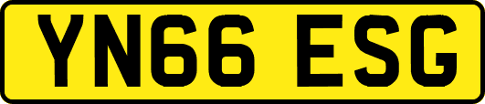 YN66ESG