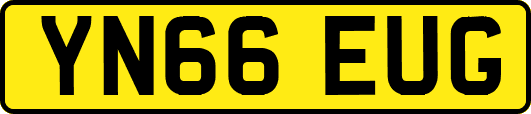 YN66EUG