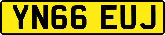 YN66EUJ