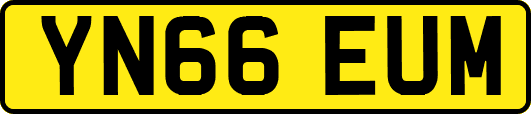 YN66EUM