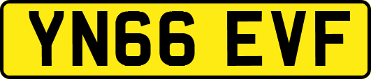 YN66EVF