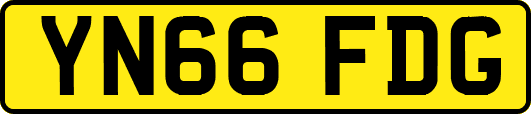 YN66FDG