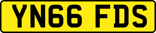YN66FDS