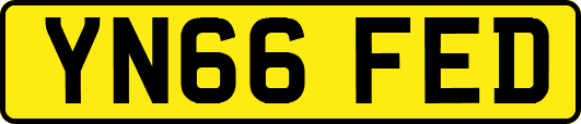 YN66FED