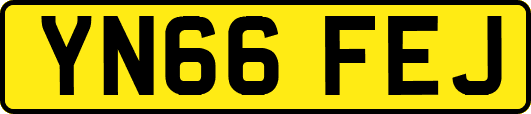 YN66FEJ