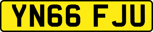 YN66FJU