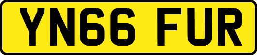 YN66FUR
