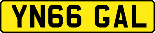 YN66GAL