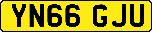 YN66GJU