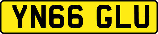 YN66GLU