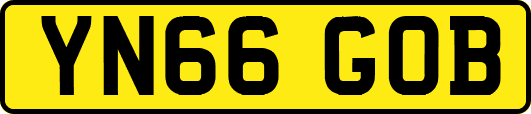 YN66GOB