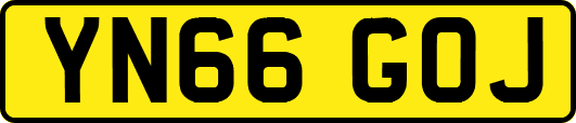 YN66GOJ