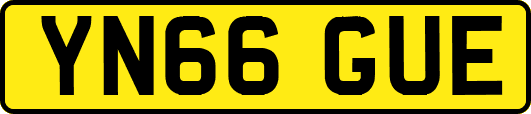 YN66GUE