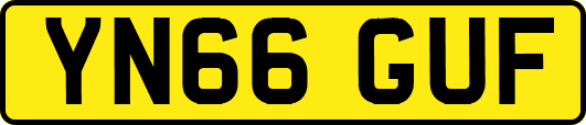 YN66GUF