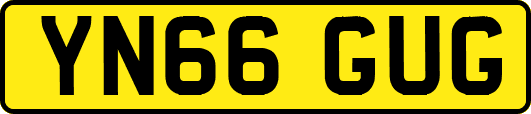 YN66GUG