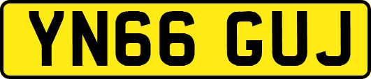 YN66GUJ
