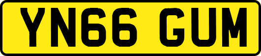 YN66GUM