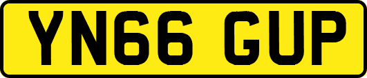 YN66GUP