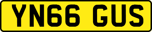 YN66GUS