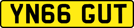 YN66GUT