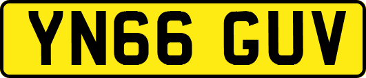 YN66GUV