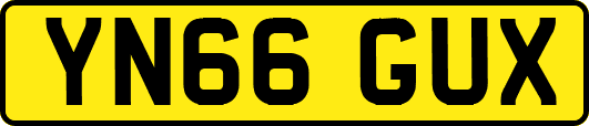 YN66GUX