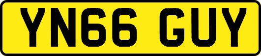 YN66GUY