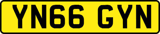 YN66GYN
