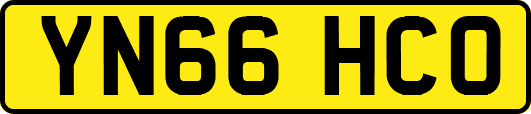 YN66HCO