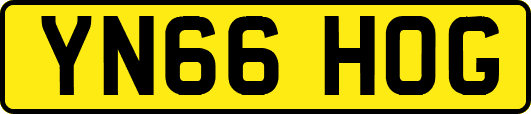 YN66HOG