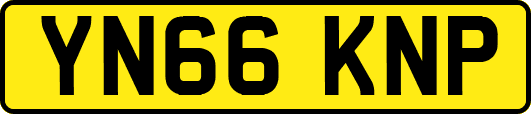 YN66KNP