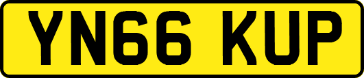 YN66KUP