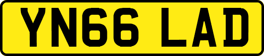 YN66LAD