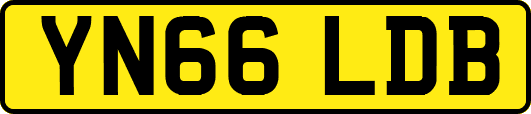YN66LDB
