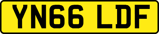 YN66LDF