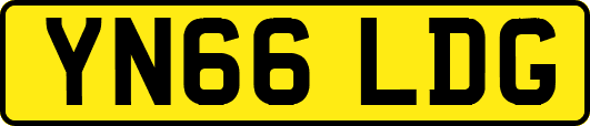 YN66LDG
