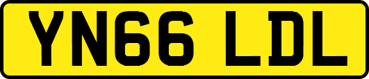 YN66LDL