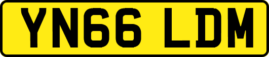 YN66LDM