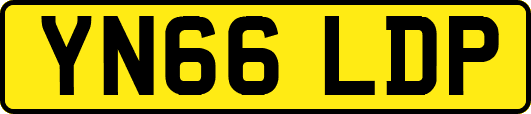 YN66LDP