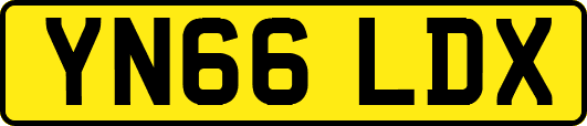 YN66LDX