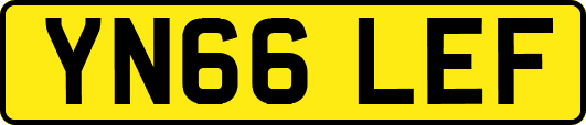 YN66LEF
