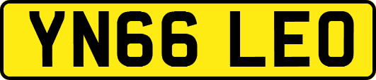 YN66LEO