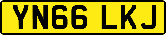 YN66LKJ