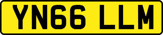 YN66LLM