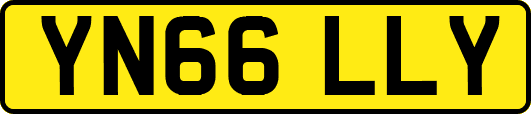 YN66LLY