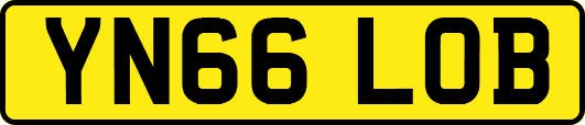 YN66LOB